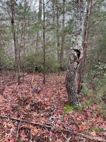 00 Jackson Cove Road W 2, Mill Spring, NC 28756