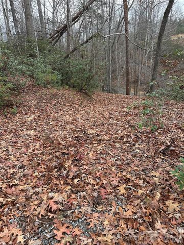 00 Jackson Cove Road W 2, Mill Spring, NC 28756