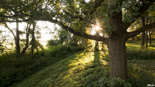 1841 N 1400 Road, Dahinda, IL 61428