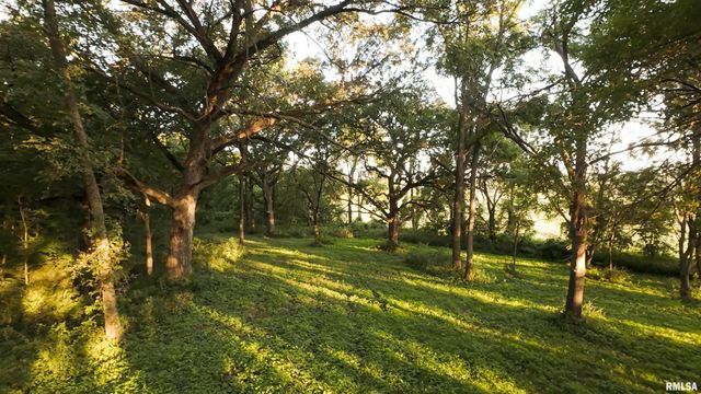 1841 N 1400 Road, Dahinda, IL 61428