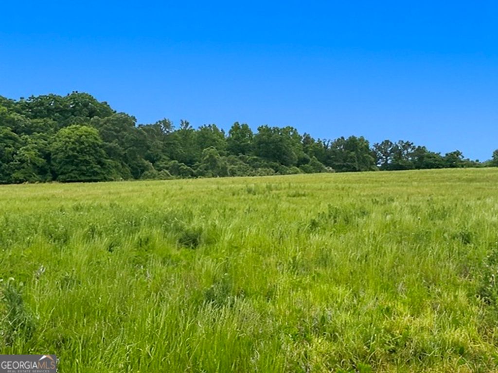 258 Whiting Road, Lavonia, GA 30553 — exterior