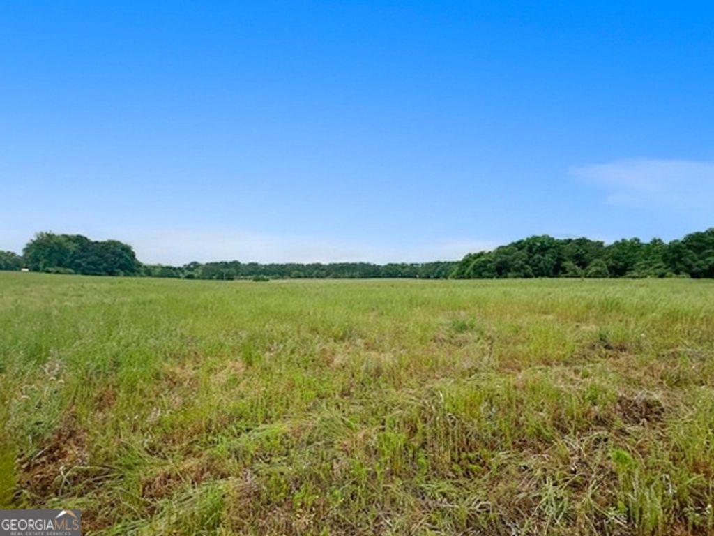 258 Whiting Road, Lavonia, GA 30553 — photo 2