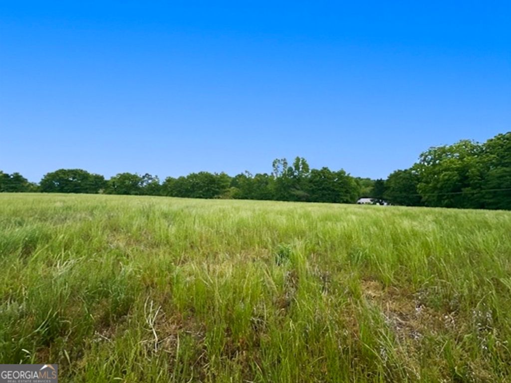 258 Whiting Road, Lavonia, GA 30553 — photo 4