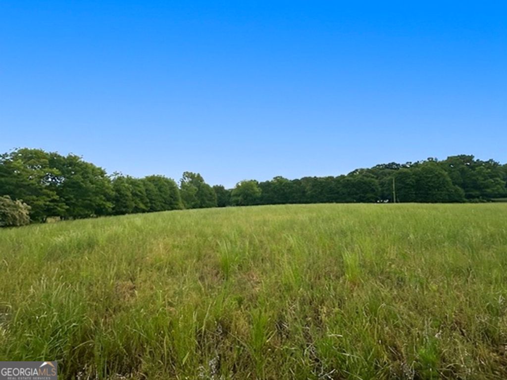 258 Whiting Road, Lavonia, GA 30553 — photo 5