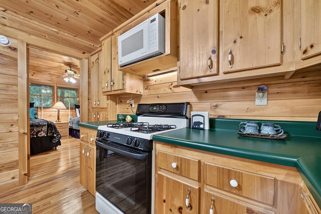 255 Blue Ridge Trails, Morganton, GA 30560