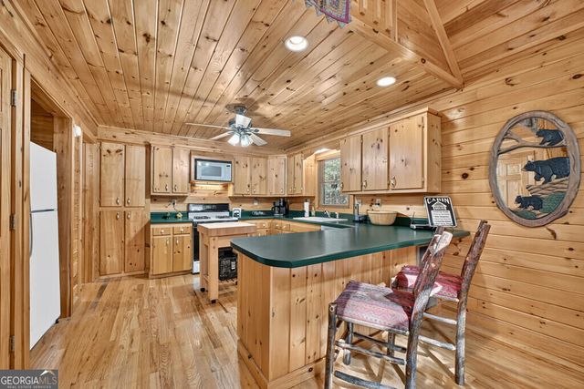 255 Blue Ridge Trails, Morganton, GA 30560