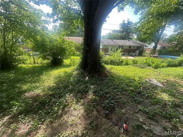 9919 Lanier Drive, St Louis, MO 63136