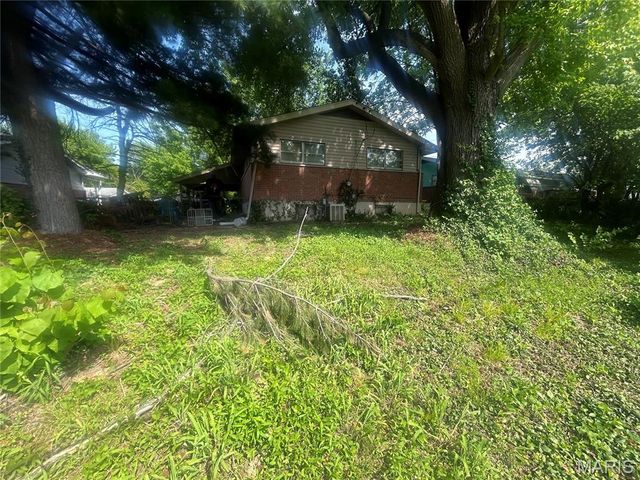 9919 Lanier Drive, St Louis, MO 63136
