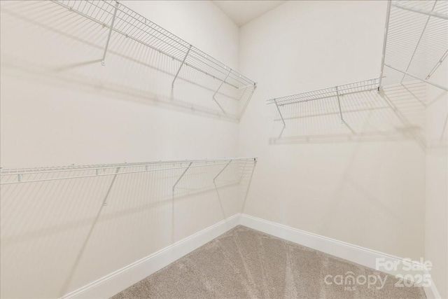 45419 Misty Bluff Drive, Charlotte, NC 28278