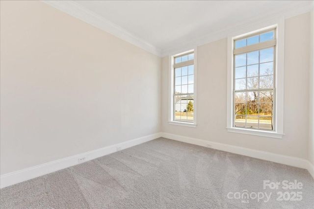 45419 Misty Bluff Drive, Charlotte, NC 28278