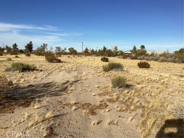 42979 Mandrill Street, Newberry Springs, CA 92365