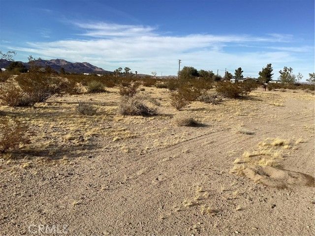 42979 Mandrill Street, Newberry Springs, CA 92365