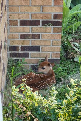 3302 County Road 41, Waterloo, IN 46793