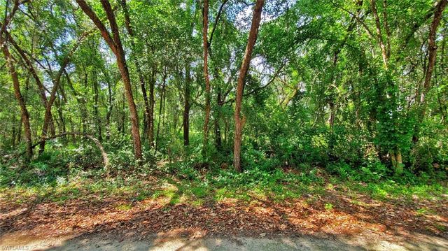 35028 Batesfield ST, Webster, FL 33597