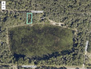 35028 Batesfield ST, Webster, FL 33597