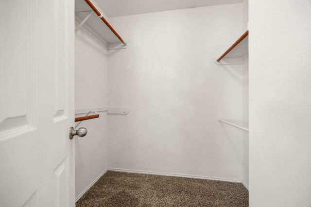 13505 Lismore LN, Pflugerville, TX 78660