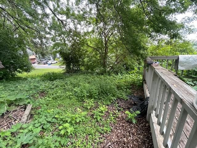 1733 Shorewood Lane, Mound, MN 55364