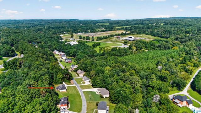 238 MAGNOLIA CIRCLE, Warrior, AL 35180