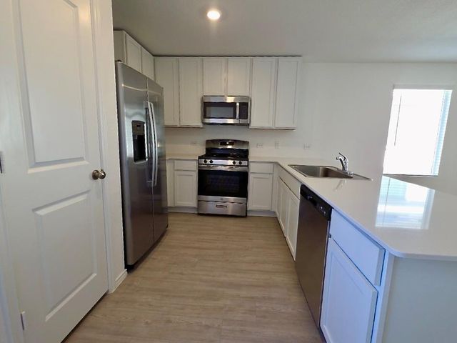 256 Northern Pintail DR, Kyle, TX 78640