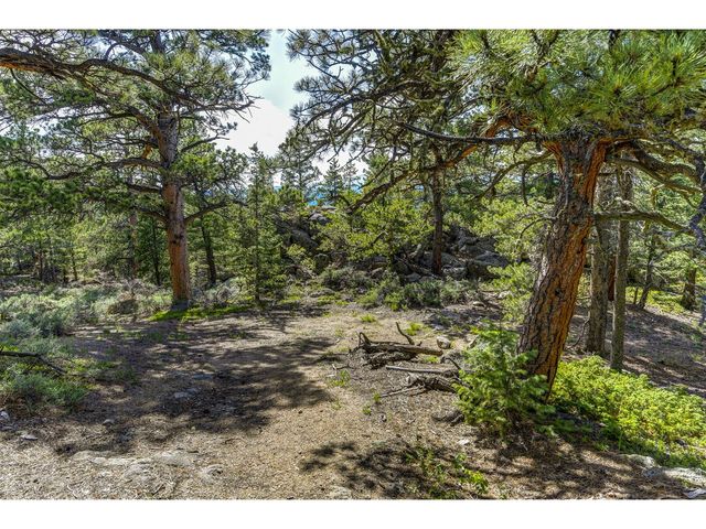3153 Ridge Rd, Nederland, CO 80466