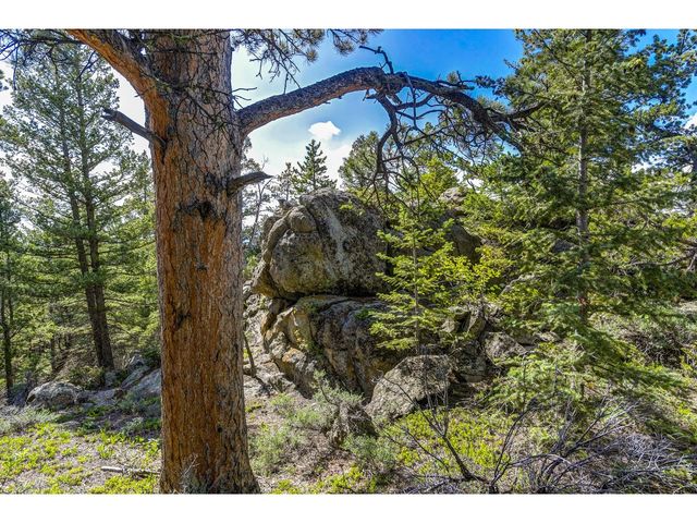 3153 Ridge Rd, Nederland, CO 80466