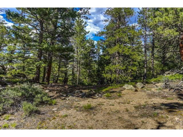 3153 Ridge Rd, Nederland, CO 80466