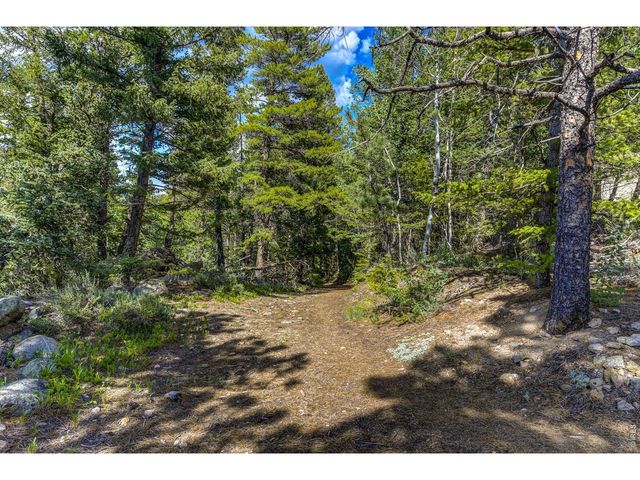 3153 Ridge Rd, Nederland, CO 80466