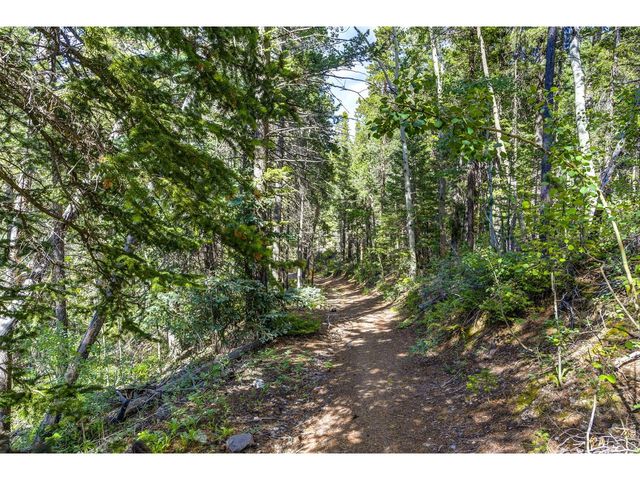 3153 Ridge Rd, Nederland, CO 80466