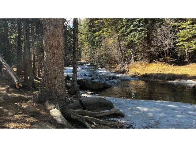 3153 Ridge Rd, Nederland, CO 80466