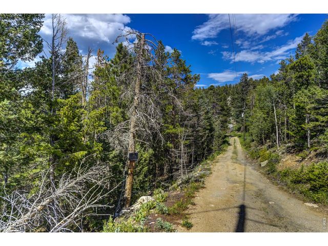 3153 Ridge Rd, Nederland, CO 80466