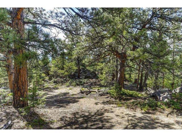 3153 Ridge Rd, Nederland, CO 80466