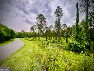 0 Walke Dairy Road, Dublin, GA 31021