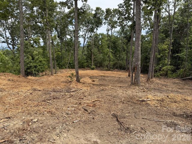 148 Spring Song Lane 6, Fletcher, NC 28732