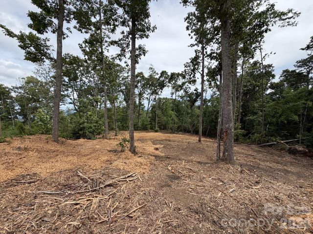148 Spring Song Lane 6, Fletcher, NC 28732