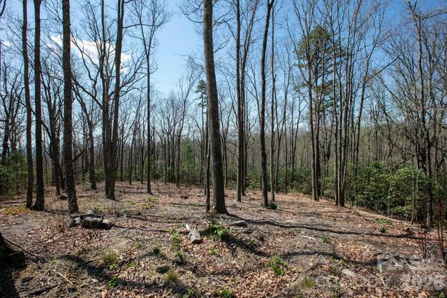 148 Spring Song Lane 6, Fletcher, NC 28732