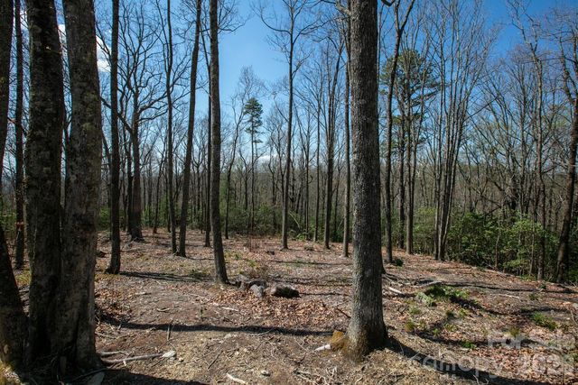 148 Spring Song Lane 6, Fletcher, NC 28732