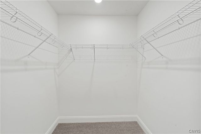 105 Terwillager Lane, Manlius, NY 13116