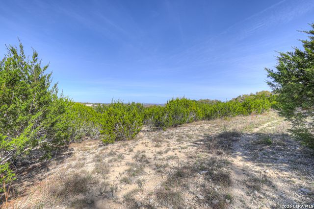 223 Emory Ct, Canyon Lake, TX 78133