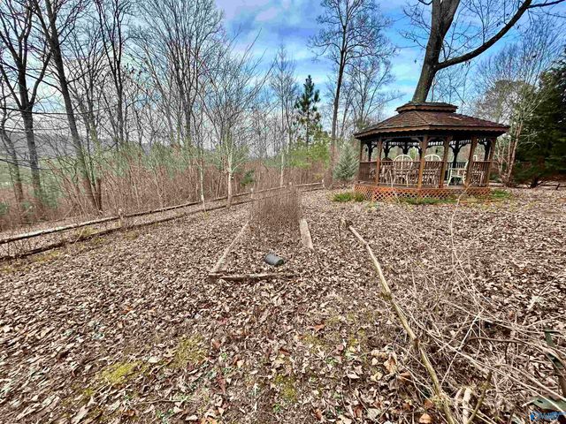 518 County Road 288, Collinsville, AL 35961