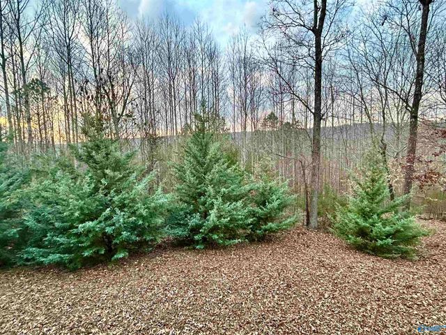 518 County Road 288, Collinsville, AL 35961