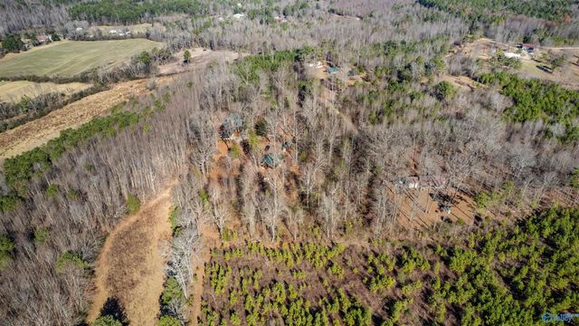 518 County Road 288, Collinsville, AL 35961