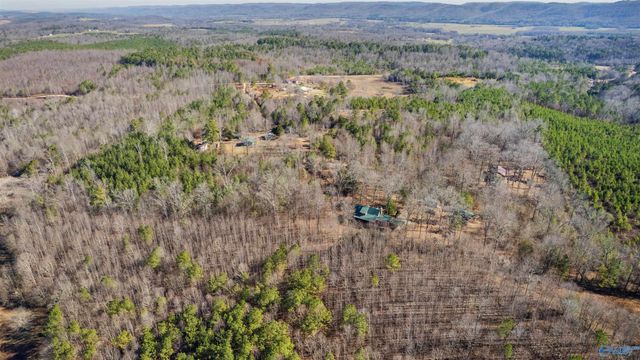 518 County Road 288, Collinsville, AL 35961