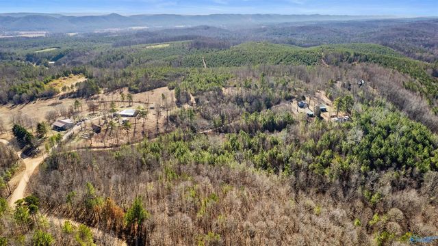518 County Road 288, Collinsville, AL 35961