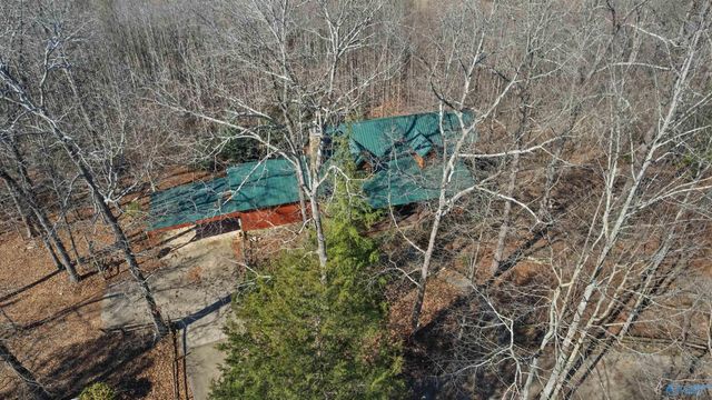 518 County Road 288, Collinsville, AL 35961