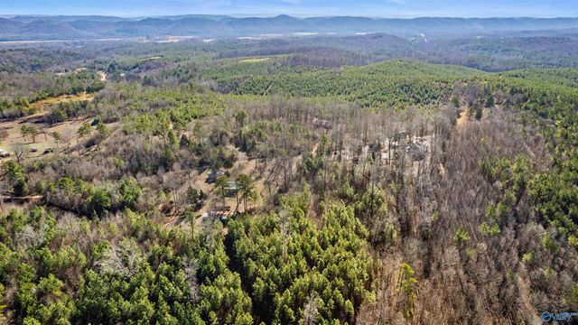 518 County Road 288, Collinsville, AL 35961