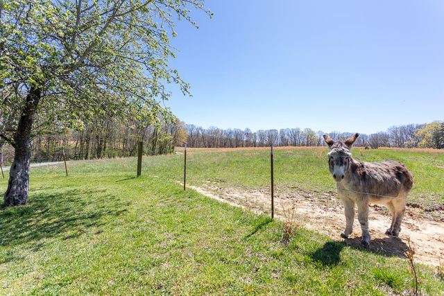 175 Twitty Road, Dunlap, TN 37327