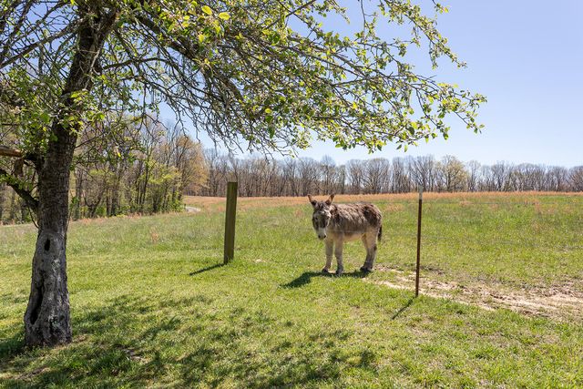 175 Twitty Road, Dunlap, TN 37327