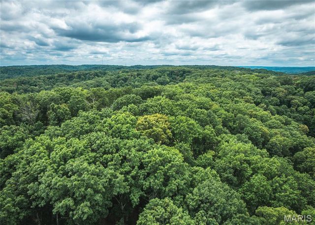 3 Trails Ends Trail, House Springs, MO 63051