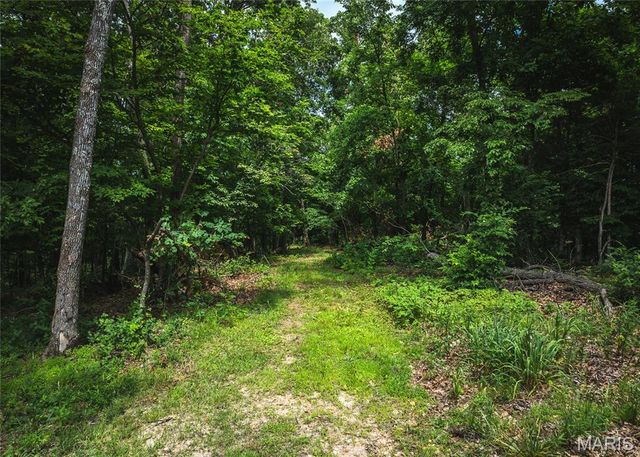 3 Trails Ends Trail, House Springs, MO 63051