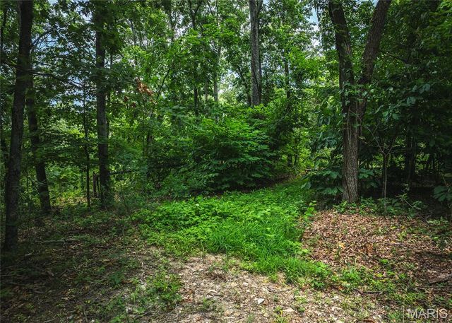 3 Trails Ends Trail, House Springs, MO 63051